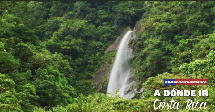 Conozca el Parque Nacional Tapantí