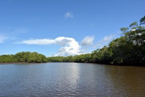 Conocé el Parque Nacional Palo Verde: