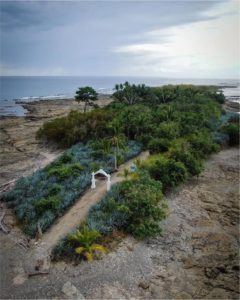 Isla De Los Muertos