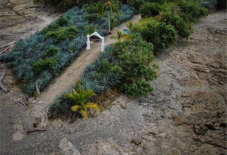 Isla De Los Muertos