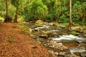 Parque Nacional los Quetzales