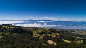 El mágico bosque de Prusia