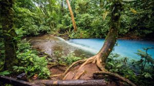 Parque Nacional Volcán Tenorio 