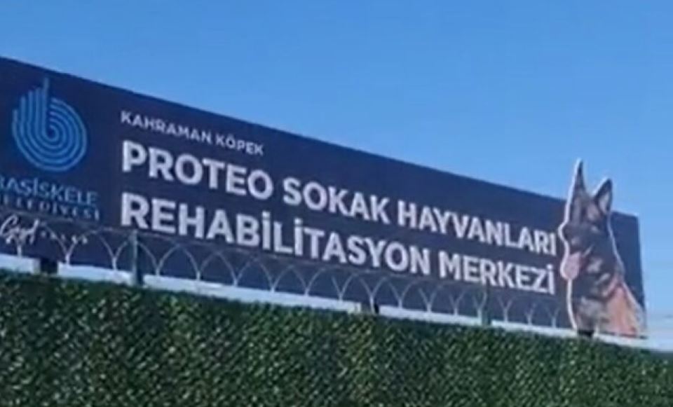 og:image